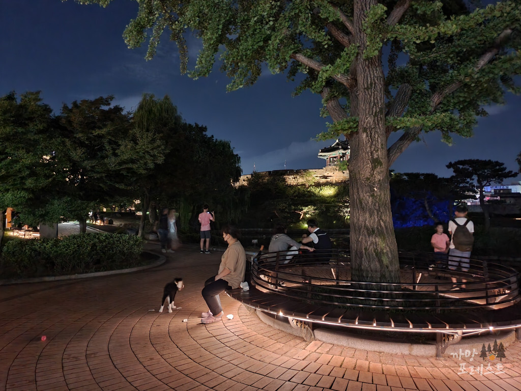 방화수류정 밤 산책