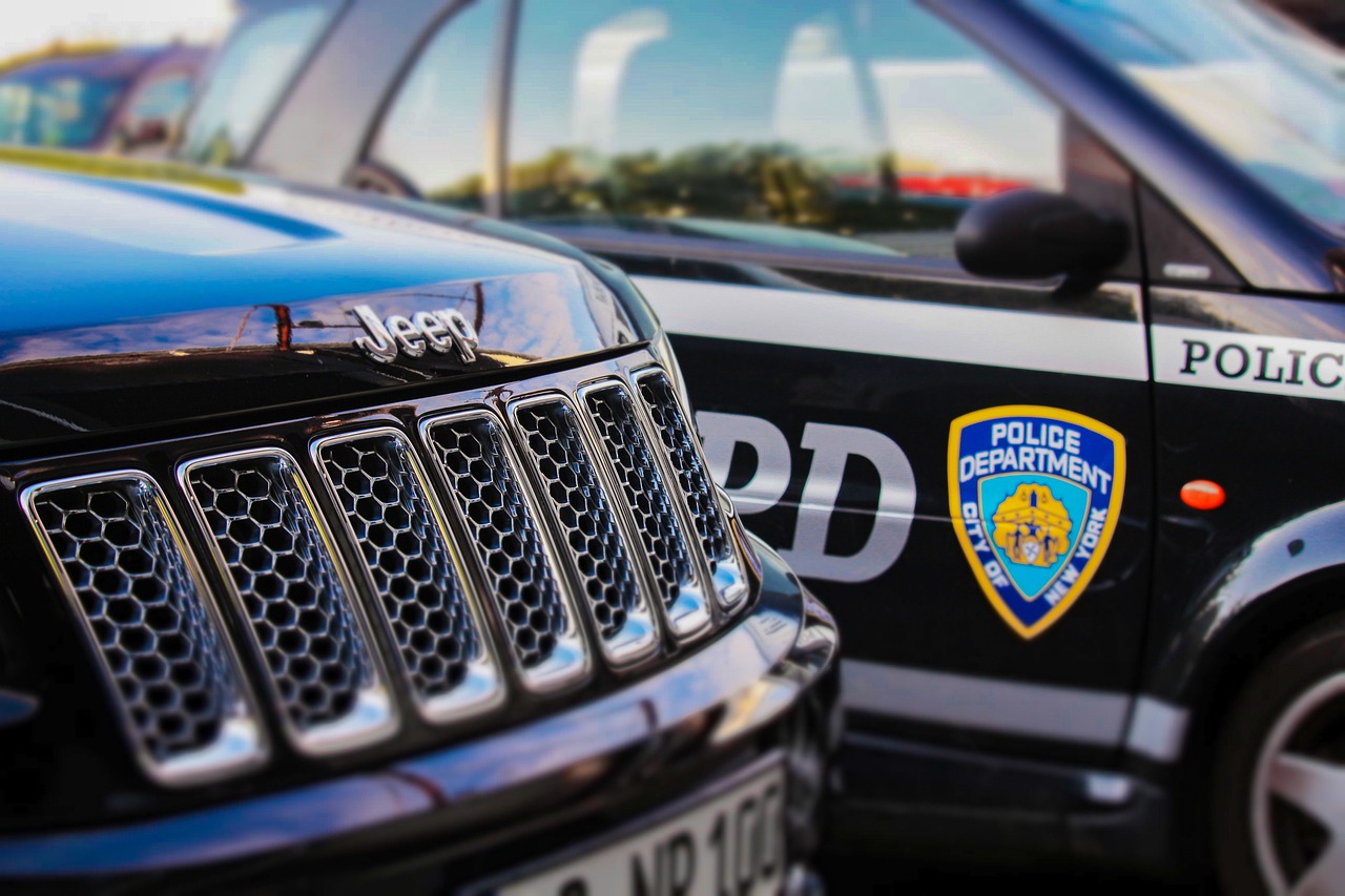 ๋ฏธ๊ตญ ๊ฒฝ์ฐฐ ์ง๊ธ ์ฒด๊ณ – ๋๋ผ๋ง ๋ฐ์, ๊ณ๊ธ ๊ตฌ์ฑ, ์ง๋ฌด ์ฐจ์ด