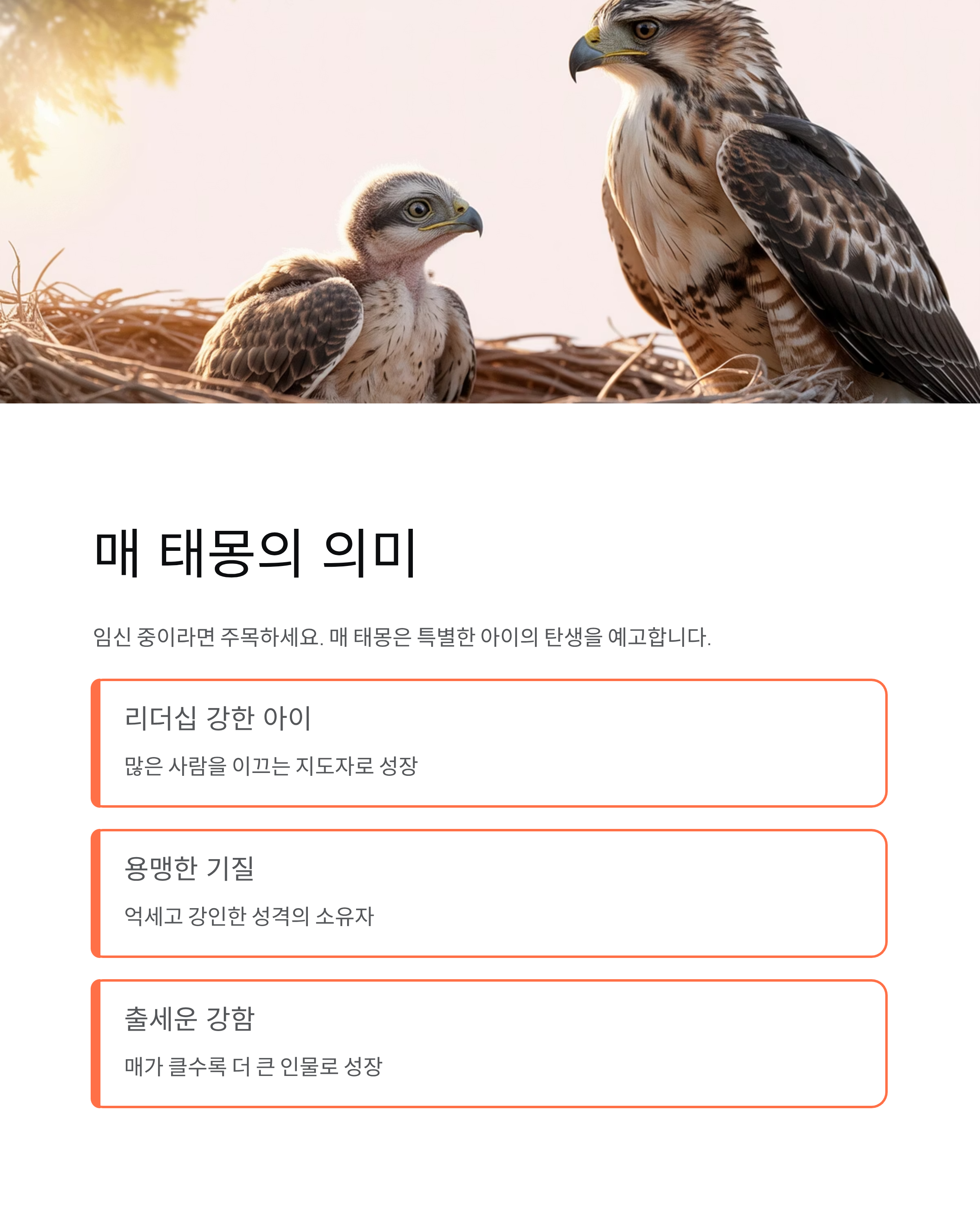 매 꿈 해몽 완벽 정리! 권력상징 태몽 길몽 맹금류 독수리 의미 총정리