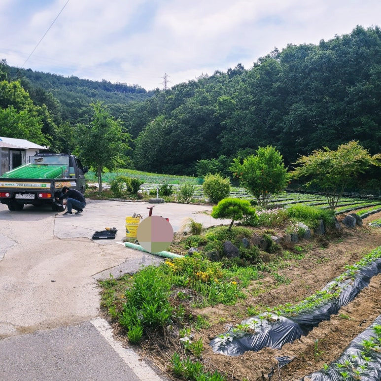 전원주택 울타리 구미, 김천, 왜관, 칠곡 휀스시공