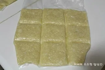 마늘 냉동 보관법 다진마늘 편마늘 냉동 보관_19