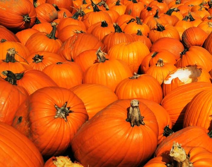 역류성 식도염에 좋은 음식