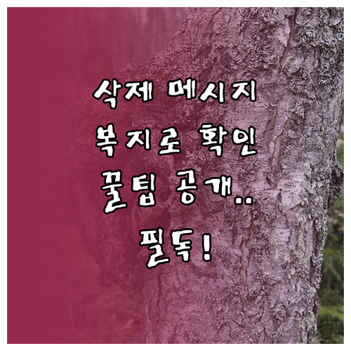 삭제한 복지멤버십 안내 메시지 복지로..