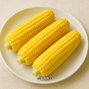 초당옥수수 효능