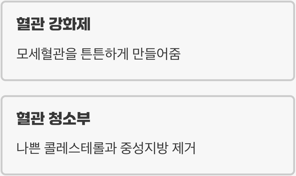 붉은 보석 속 '루틴'의 마법