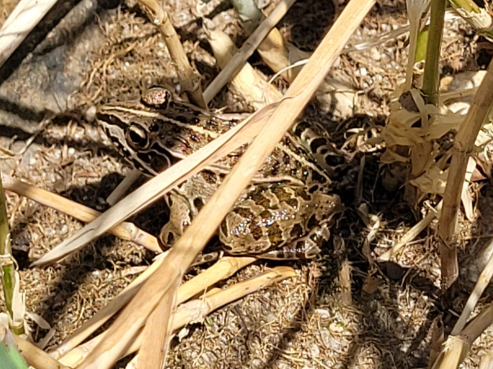 도마치 자연그대로 캠핑장 이용 후기