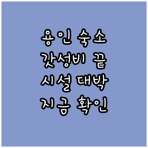 용인 가성비 숙소 추천 리스트 위치 ..