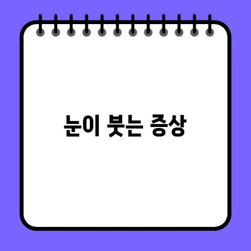 눈이 붓는 증상