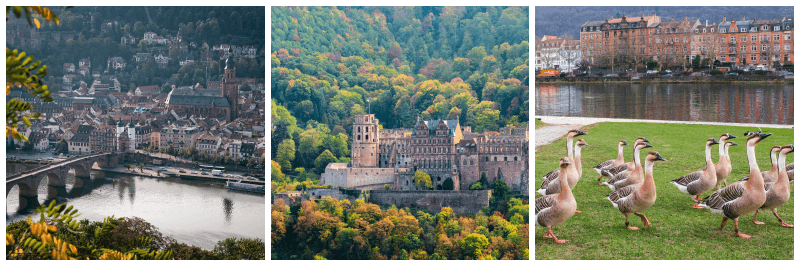 하이델베르크 풍경 사진 3개