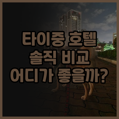 타이중 호텔 추천 더 메트로 호텔 v..