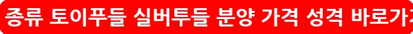 푸들 종류 토이푸들 실버투들 분양 가격 성격_11