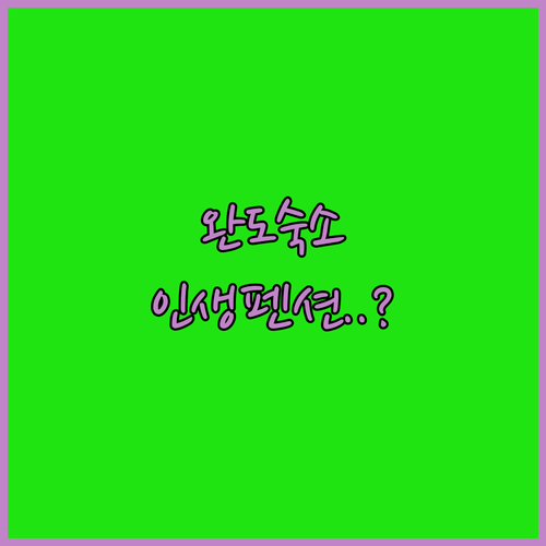 완도 추자도 숙소 비교 분석 청해진 ..