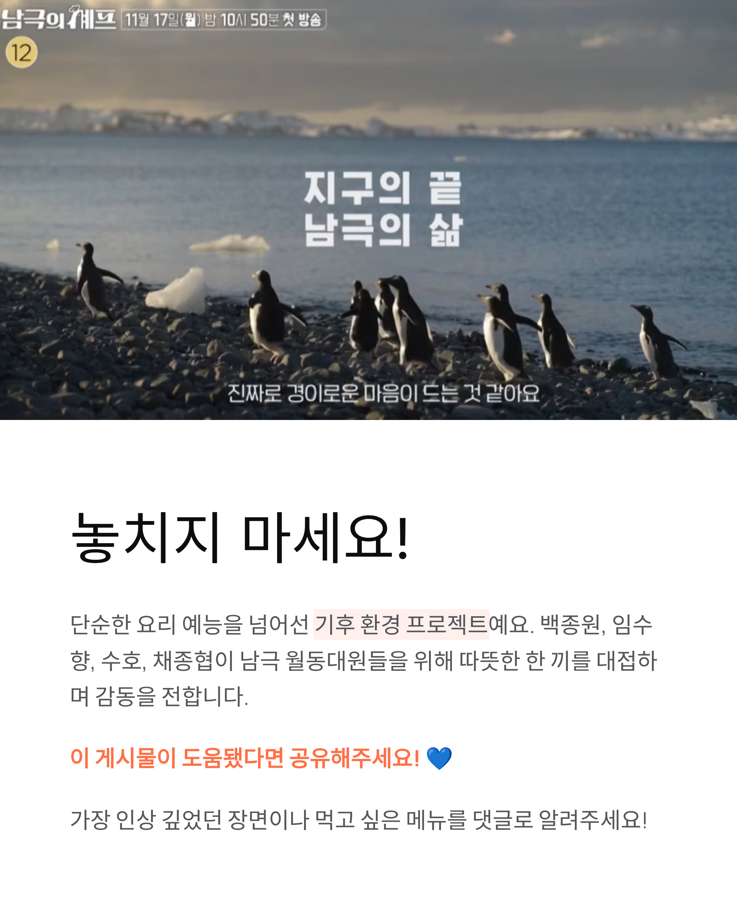 남극의셰프 총정리 - 백종원X임수향 출연진, 시청률, OTT 정보 완벽 분석!