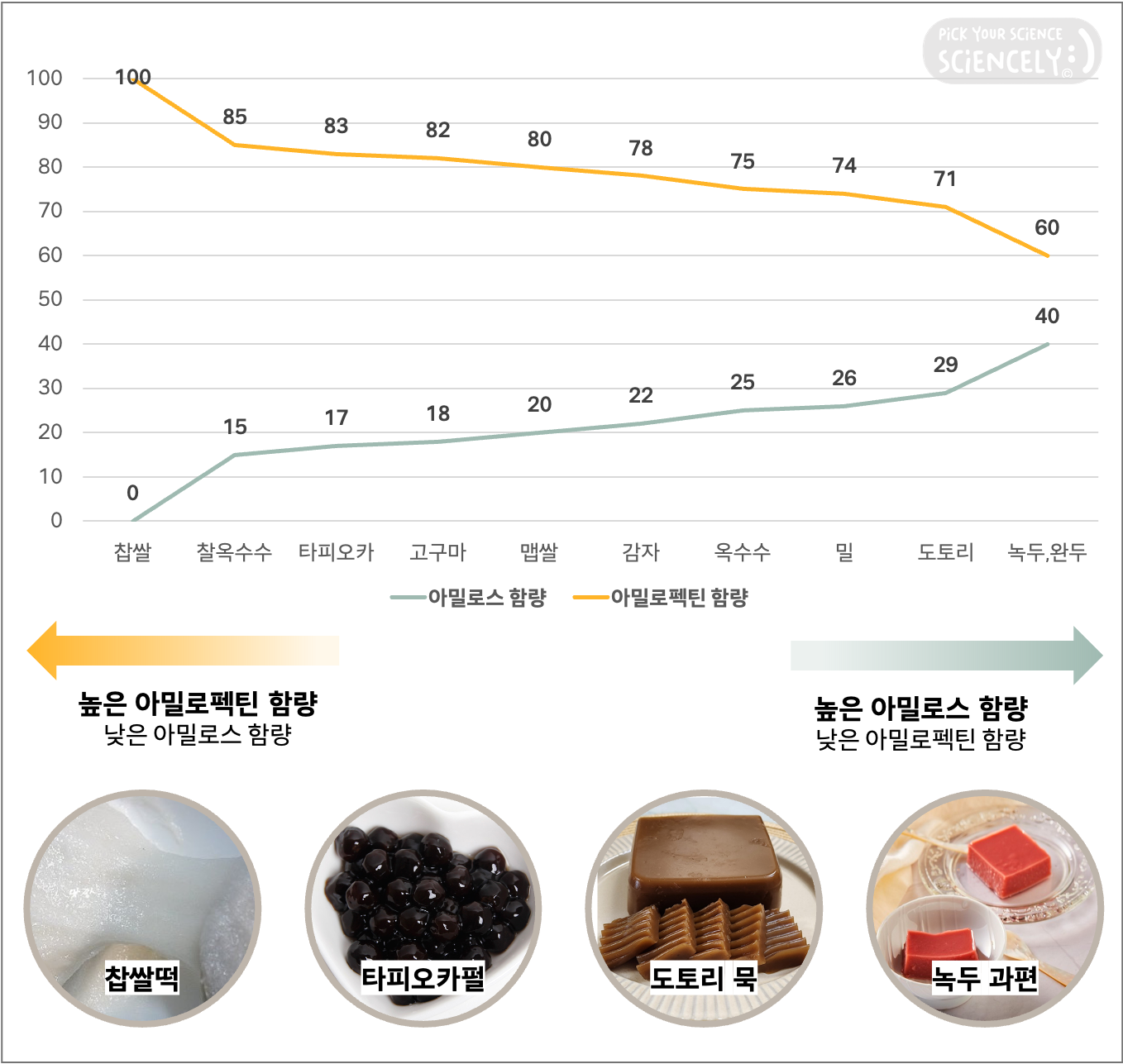 아밀로스 아밀로펙틴 비율 함량, 전분 식감, 쫀득 찐득한 아밀로펙틴, 탱글 단단한 아밀로스, 찹쌀 찰옥수수 타피오카 고구마 맵쌀 감자 옥수수 밀 도토리 녹두 완두