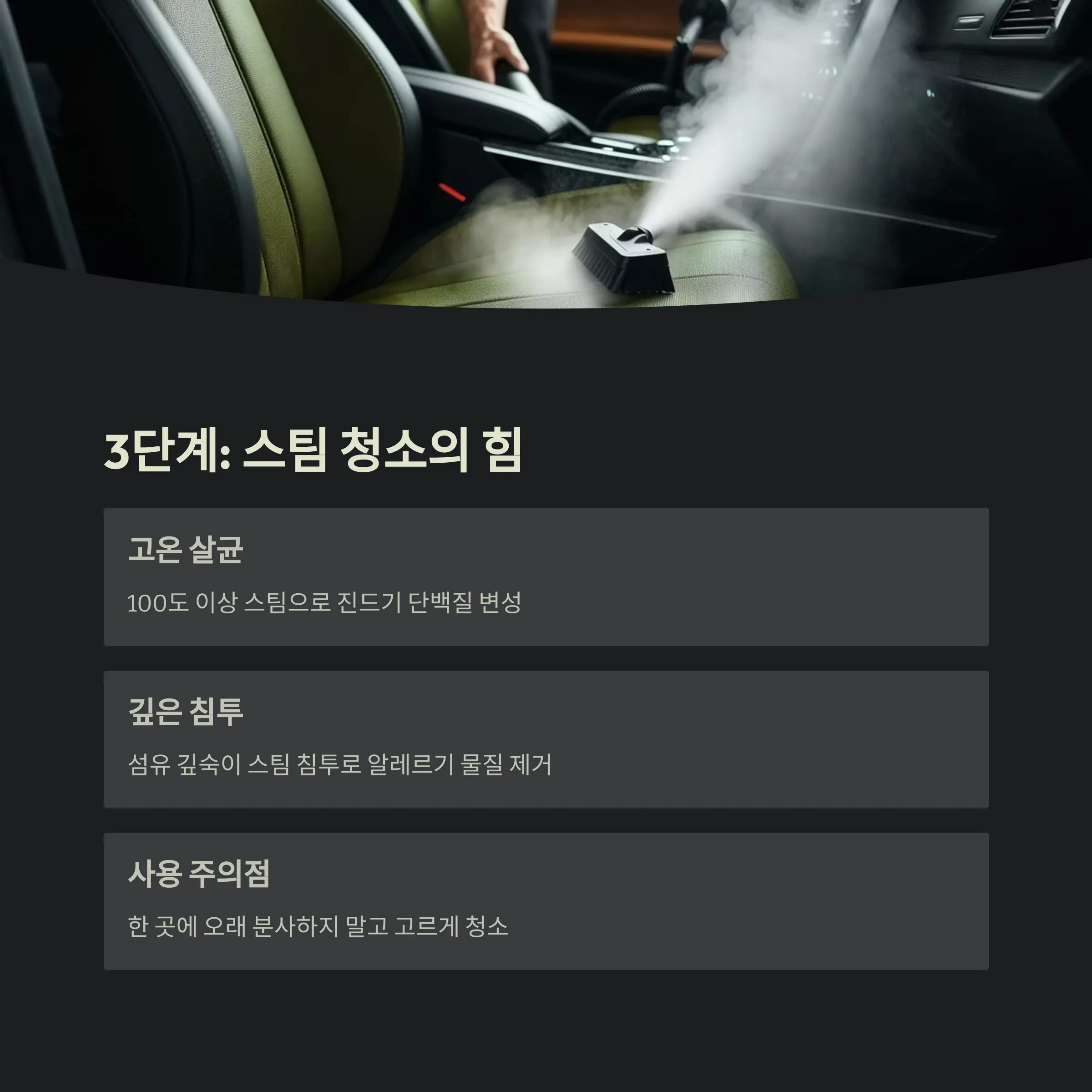 차량 진드기 제거 정보
