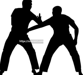 크라브마가 서울, 대구, 창원, 대전, 전주, 부산, 포항, 대구 체육관 및 도장 위치