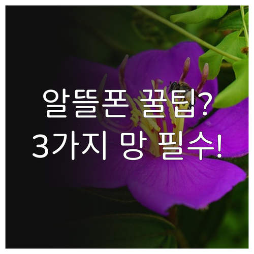 알뜰폰 유심 구매 전 확인할 3가지 ..
