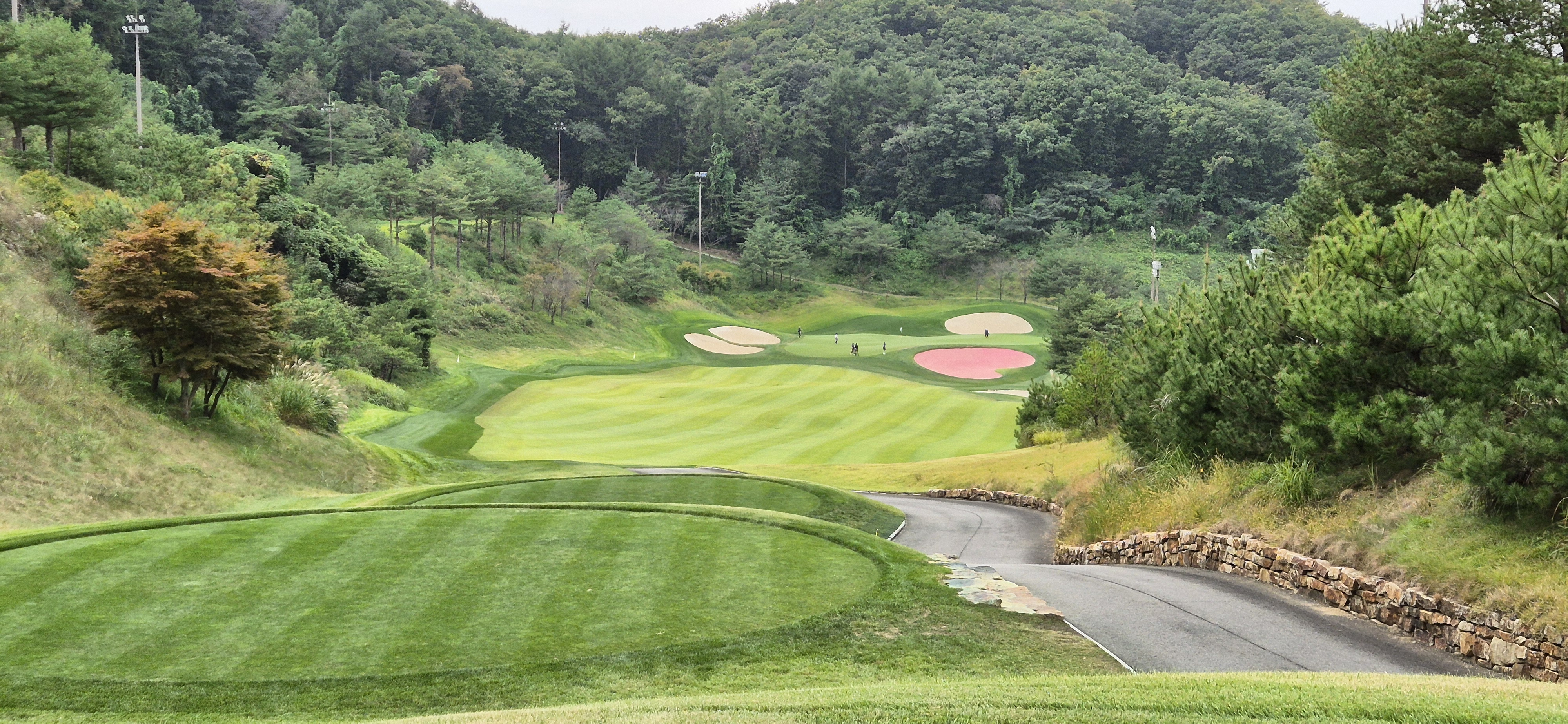 소노펠리체cc이스트