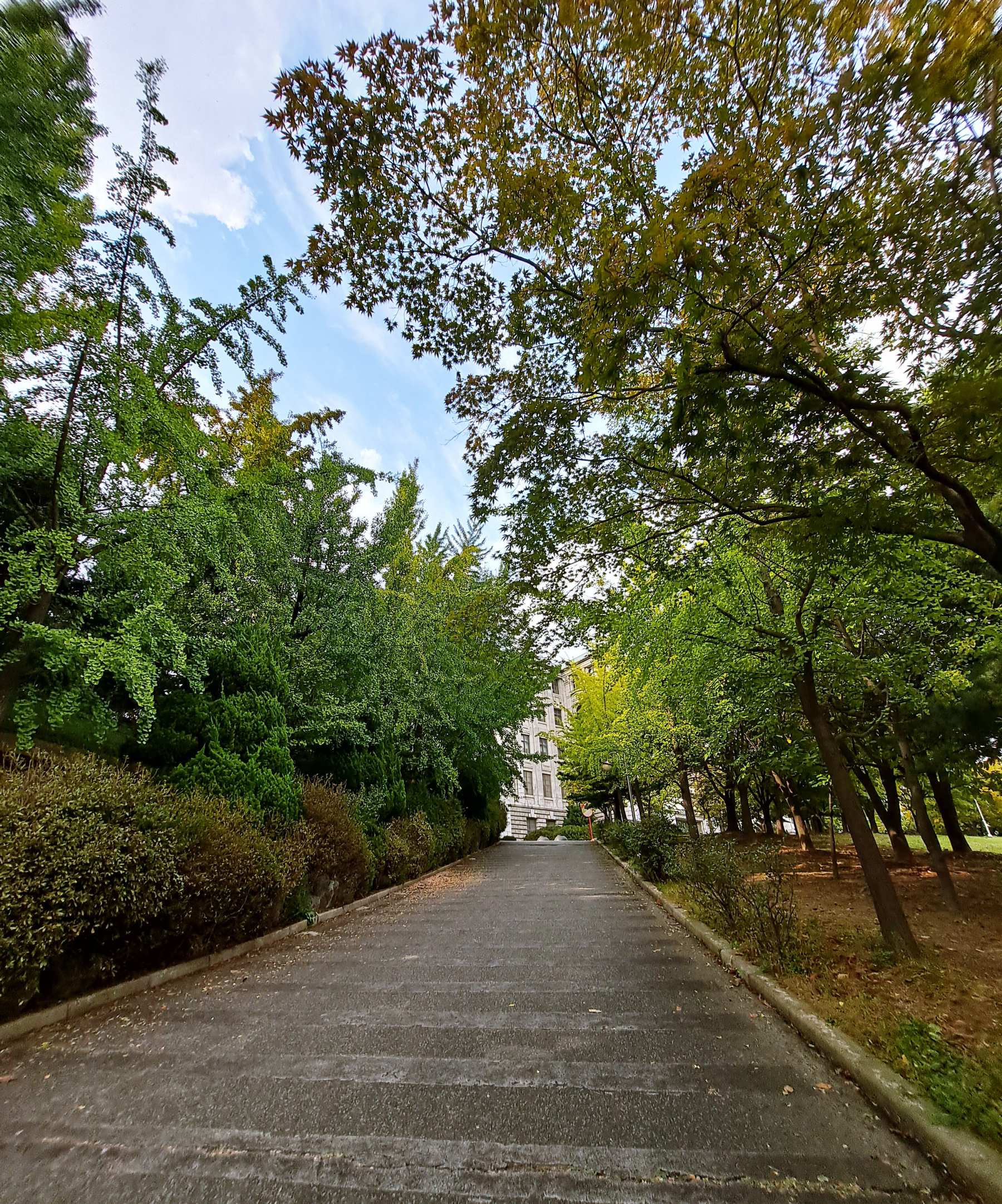 성리관 올라가는 도로