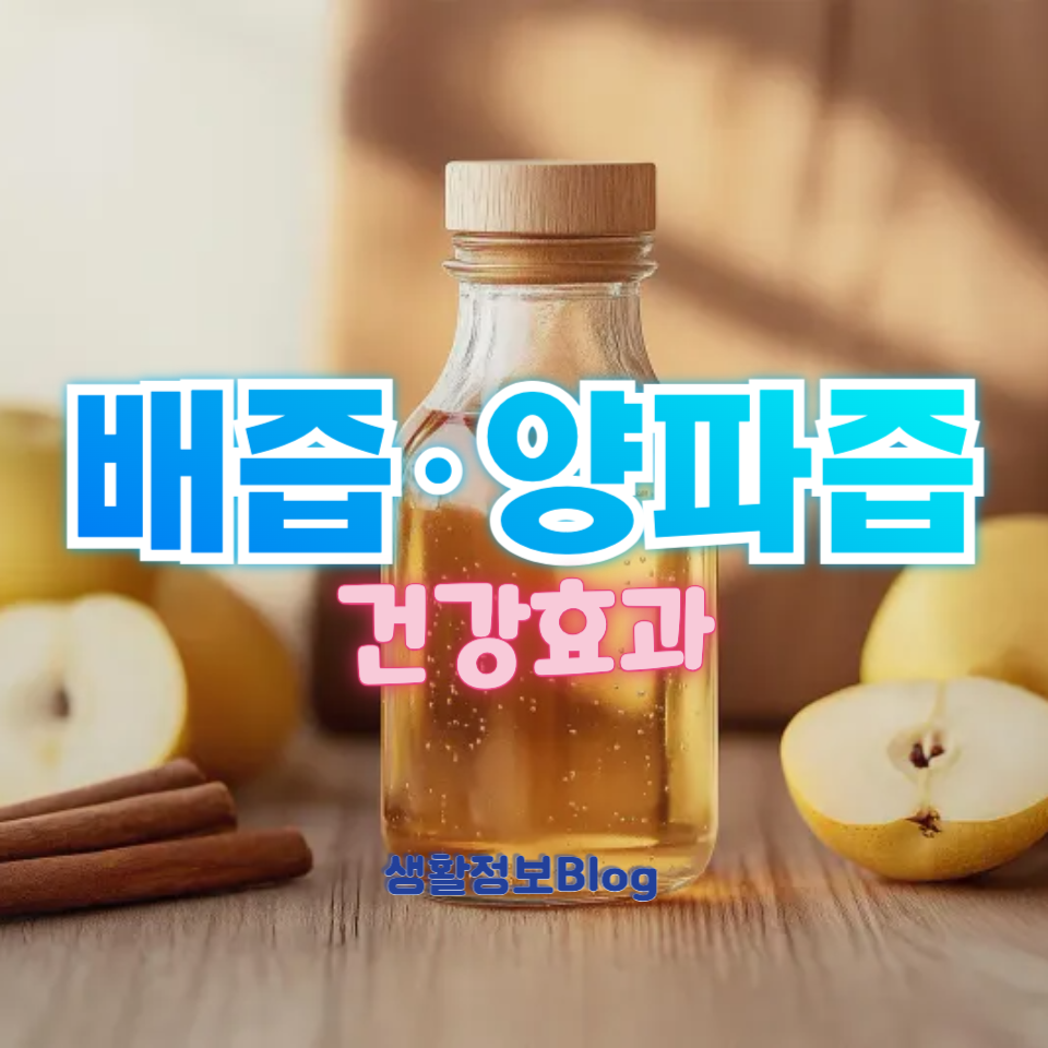 배즙&middot;양파즙 건강효과