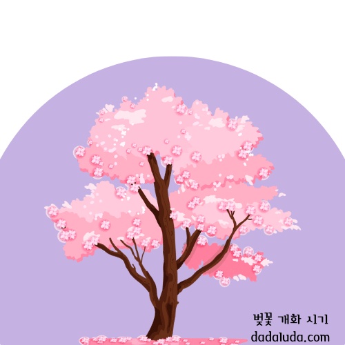 벚꽃 개화 시기 2025 인천 벚꽃 구경 볼만한 곳