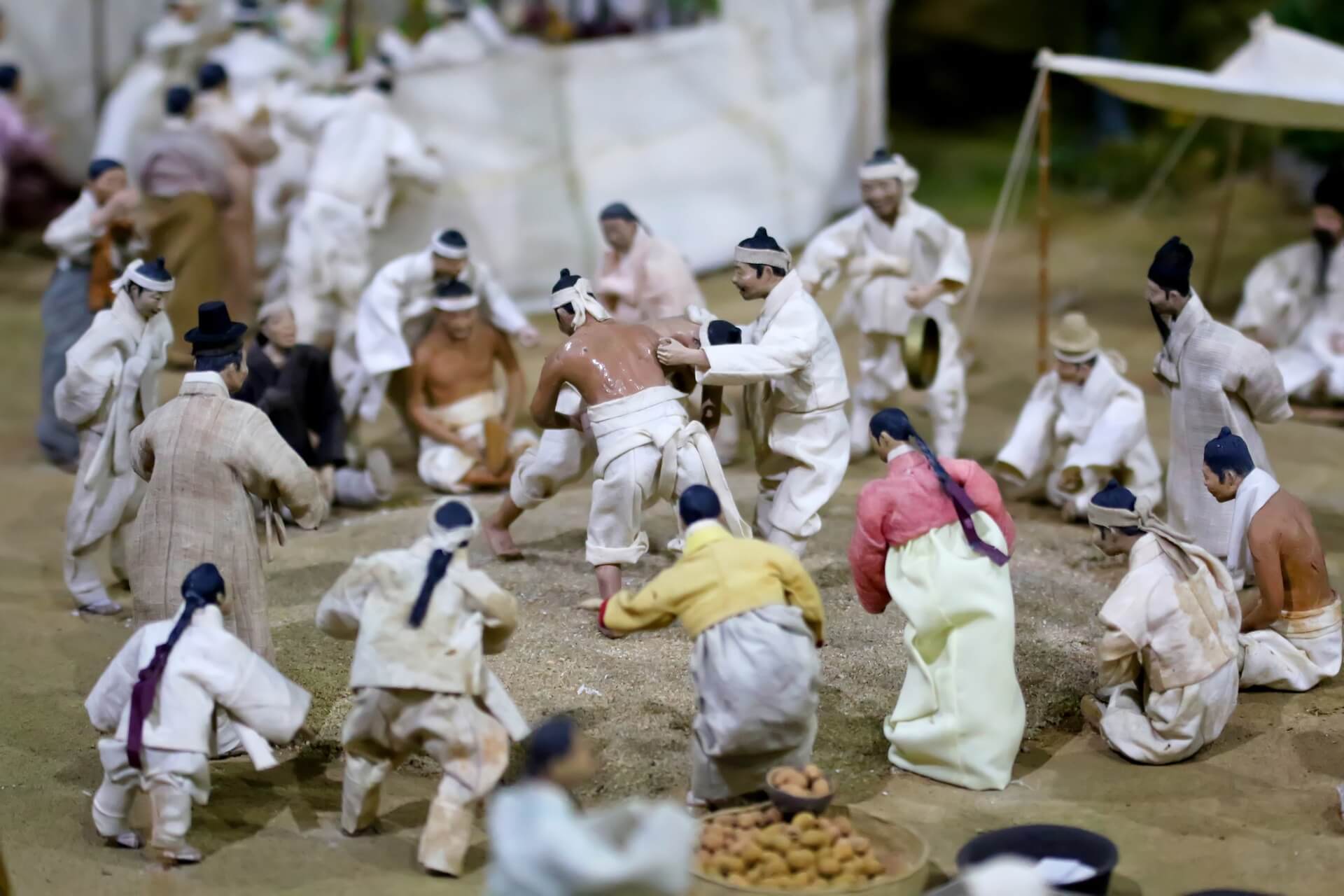 한국스포츠-씨름