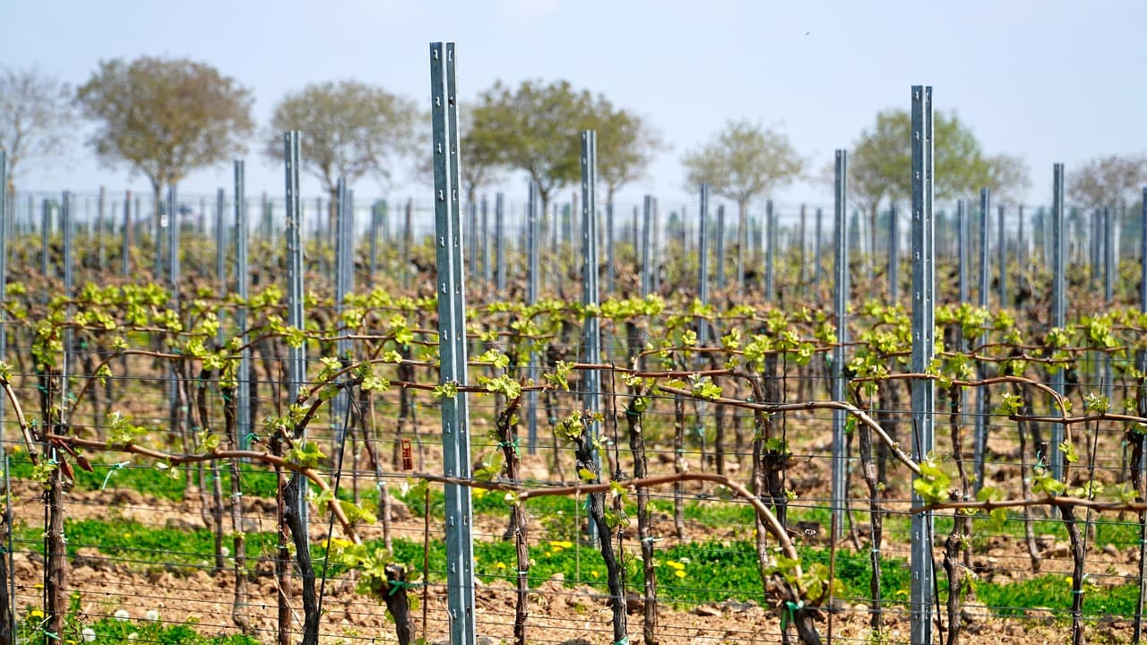 스마트팜 청년창업 보조금 실제 신청 방법과 주의사항