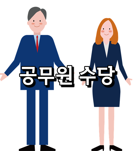 주무관 급수와 서기관 급수 차이 공무원 7급 9급 월급 차이 수당 정보