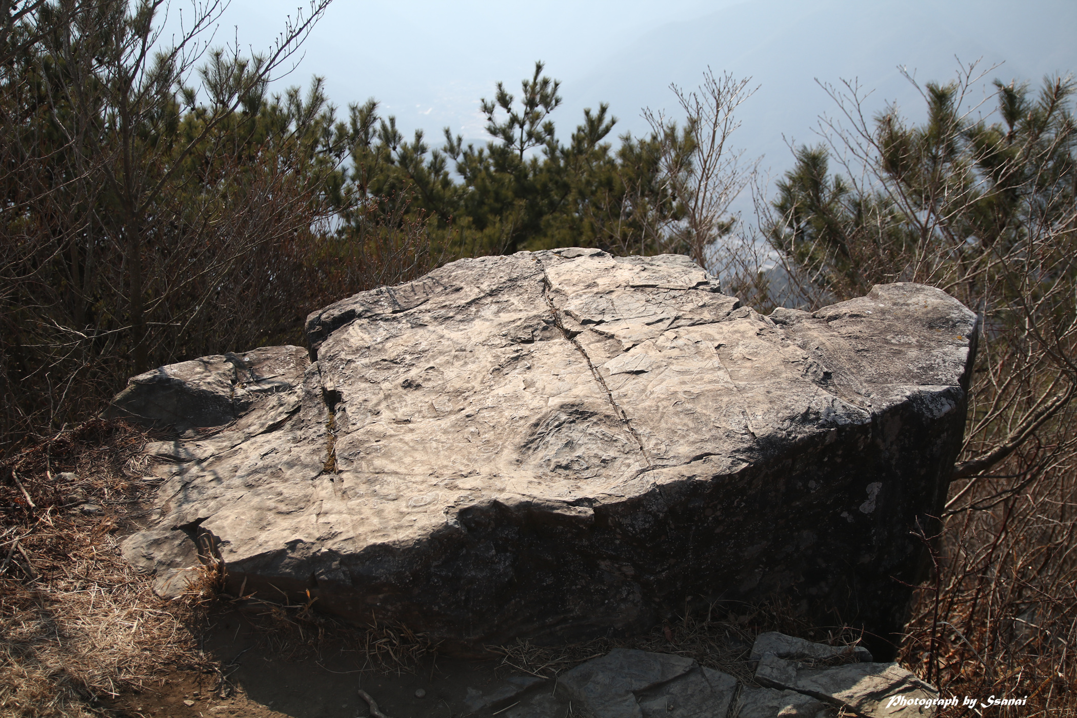 공룡발자국 화석