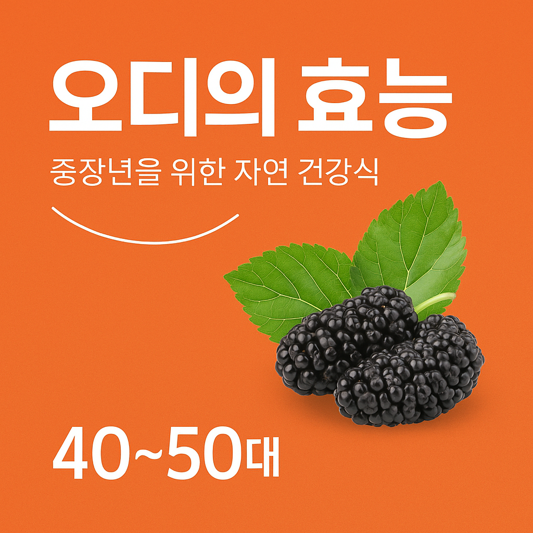 오디의 효능, 뽕나무 열매 속 건강 비밀 총정리