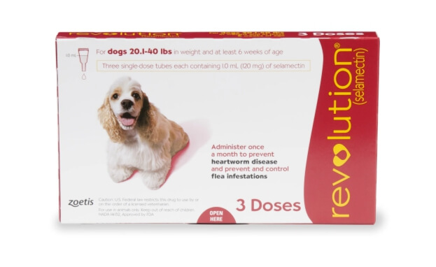 강아지 심장사상충 예방