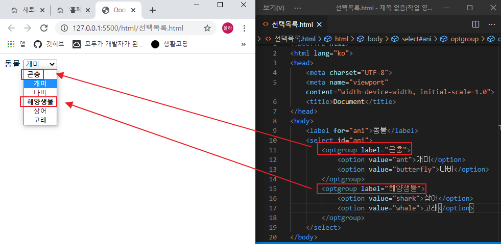 optgroup 태그 설명 이미지
