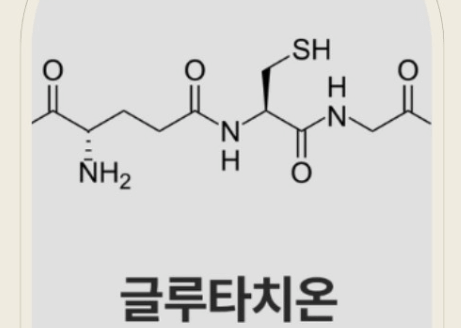 리포좀 글루타치온 성분