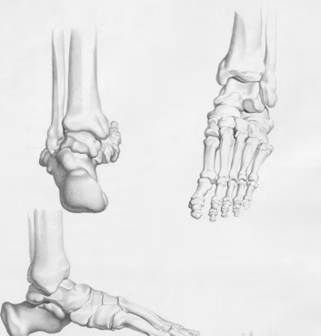 콘드로이친 효능 복용법 시간 부작용