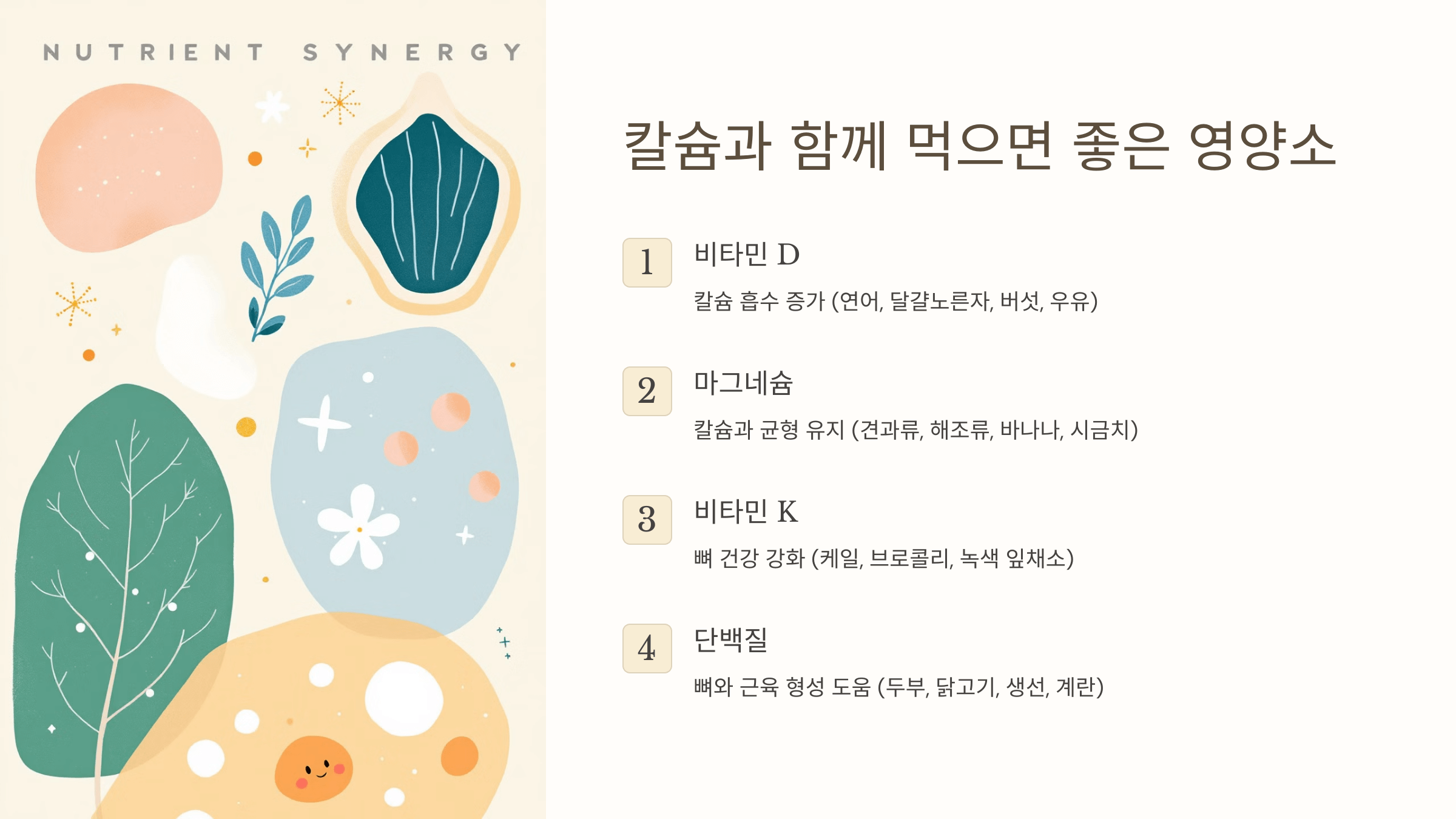 칼슘과 관련된 사진입니다.