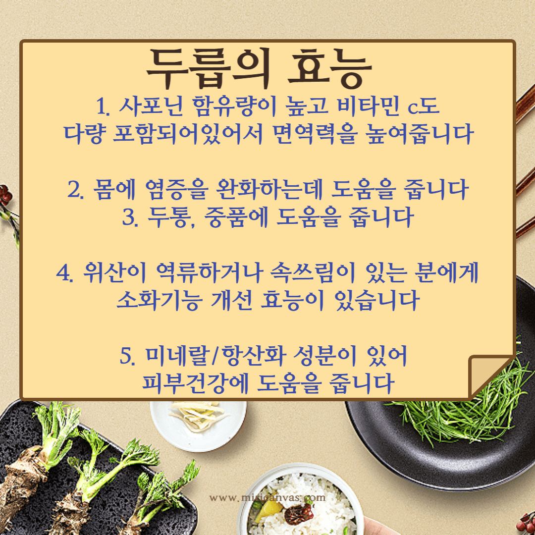 두릅의효능
