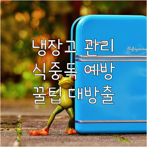 냉장고 관리 핵심: 여름철 식중독 예..