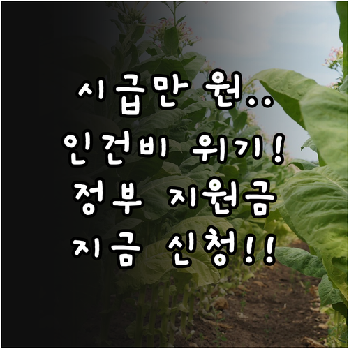 2026년 최저임금 10300원 시대..