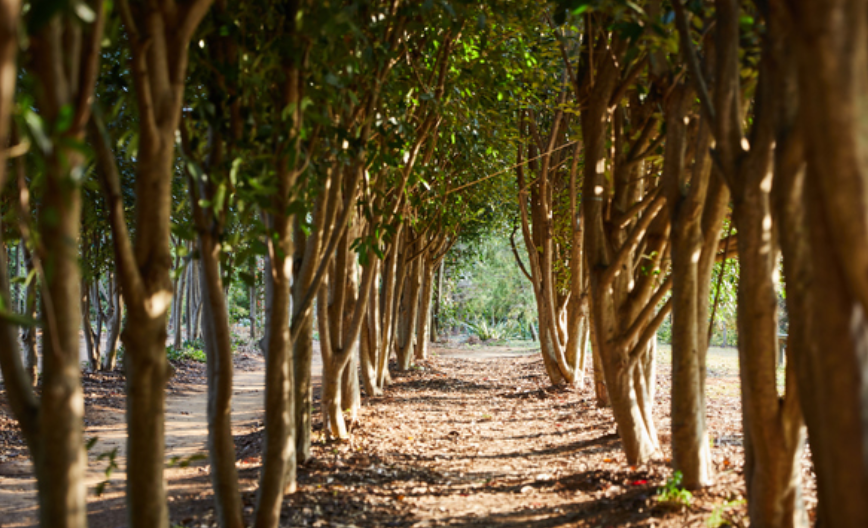 청산수목원 사진