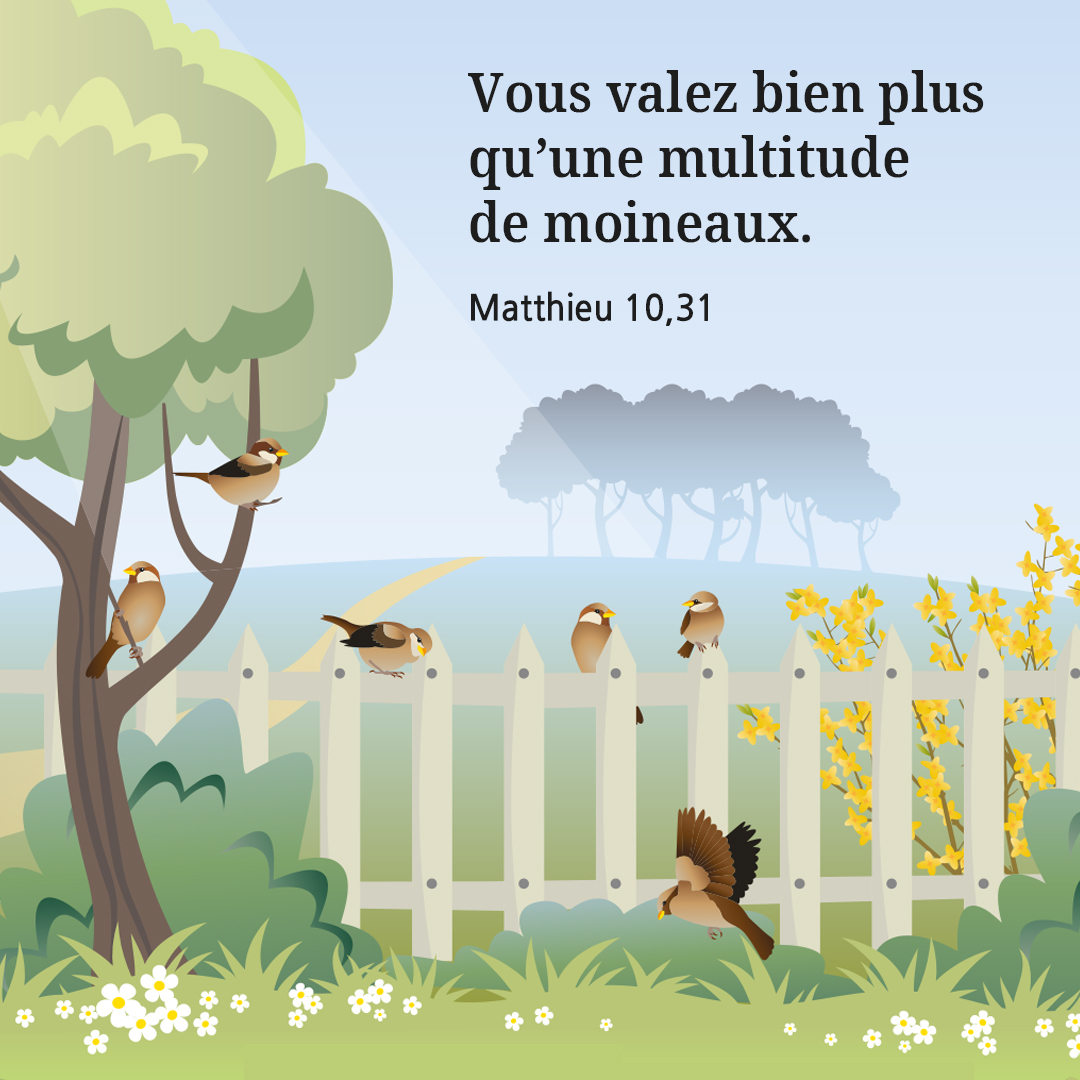 Vous valez bien plus qu&rsquo;une multitude de moineaux. (Matthieu 10,31)