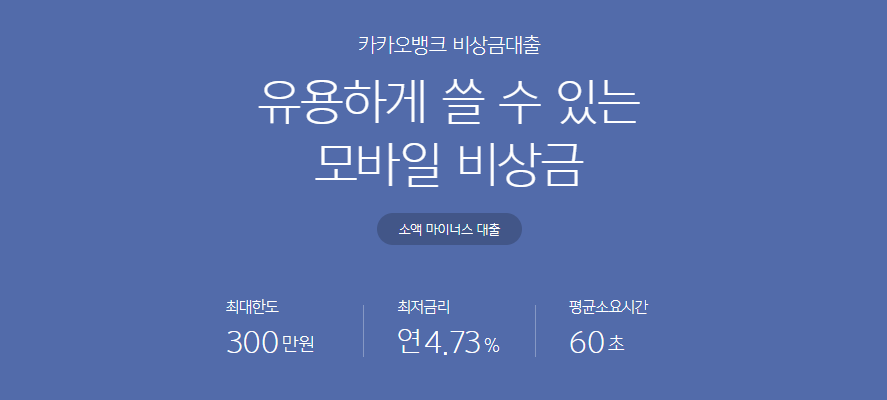 주부대출 비상금대출 무직자대출_카카오뱅크
