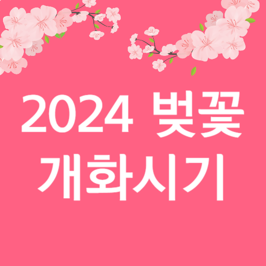 2024 벚꽃 개화시기