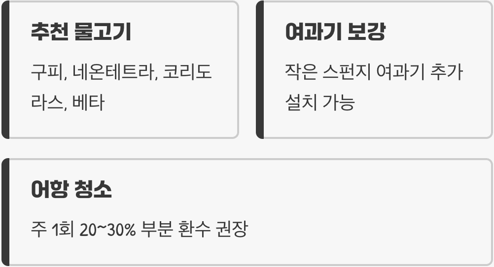 모비딕어항에 대한 모든 것: 자주 묻는 질문 Q&A