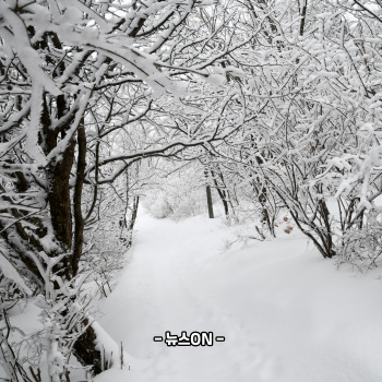 12월에 가볼만한 국내 여행지