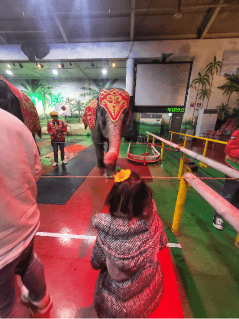 제주도 아이와가볼만한곳, 점보빌리지