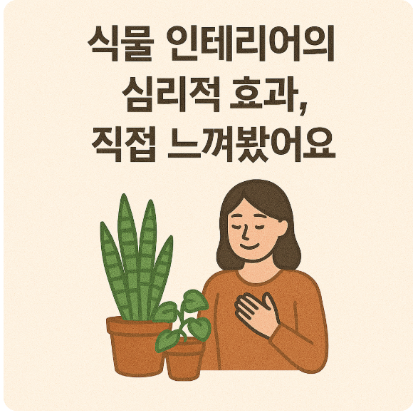 식물 인테리어의 심리적 효과를 직접 경험한 후기