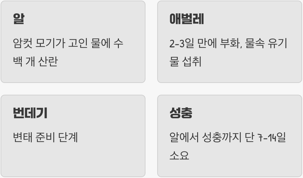 1. 알에서 성충까지&amp;#44; 충격적인 성장 속도