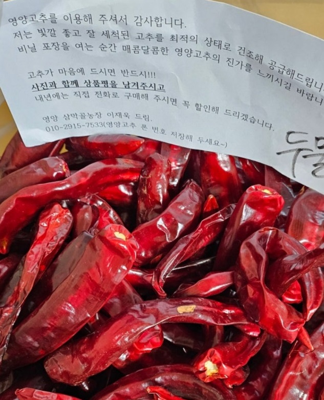 생생정보-영양-고추-삼막골농장-건고추