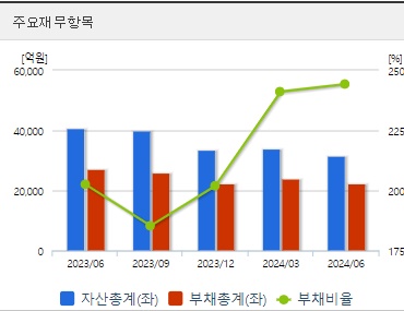 엘앤에프 주가 재무지표