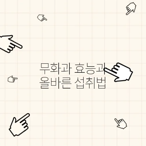 무화과 효능과 올바른 섭취법, 부작용 체크